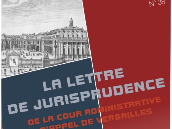 La Lettre de jurisprudence n° 38