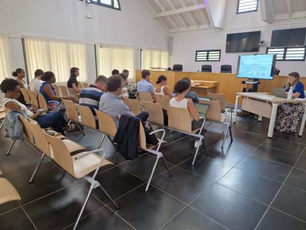 formation Martinique