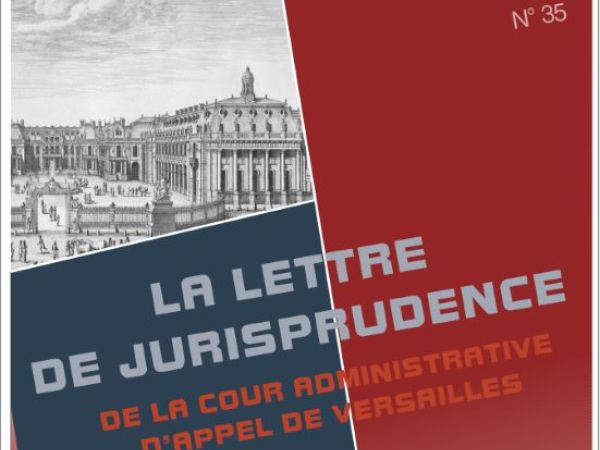 Lettre de jurisprudence n°35